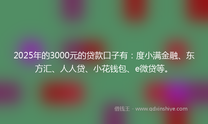 2025年的3000元的贷款口子有：度小满金融、东方汇、人人贷、小花钱包、e微贷等。