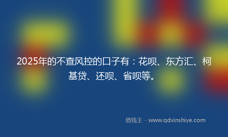 2025年的不查风控的口子有：花呗、东方汇、柯基贷、还呗、省呗等。