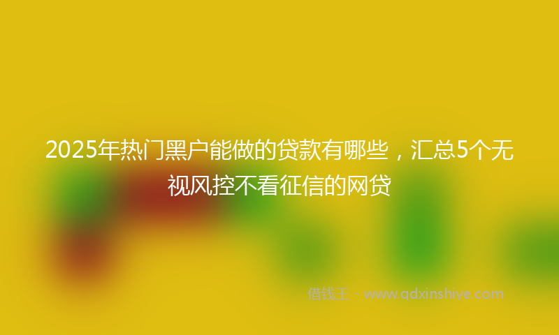 2025年热门黑户能做的贷款有哪些，汇总5个无视风控不看征信的网贷