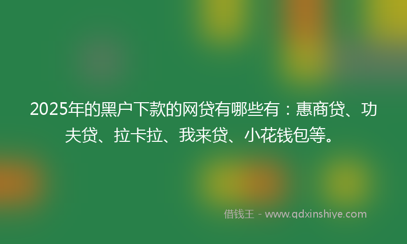 2025年的黑户下款的网贷有哪些有：惠商贷、功夫贷、拉卡拉、我来贷、小花钱包等。