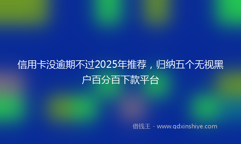 信用卡没逾期不过2025年推荐，归纳五个无视黑户百分百下款平台