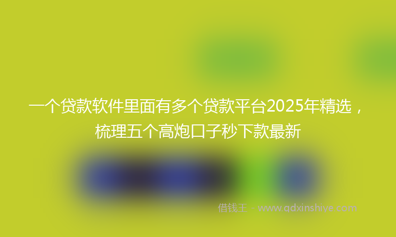 一个贷款软件里面有多个贷款平台2025年精选，梳理五个高炮口子秒下款最新