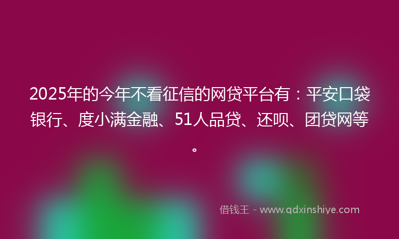 2025年的今年不看征信的网贷平台有：平安口袋银行、度小满金融、51人品贷、还呗、团贷网等。