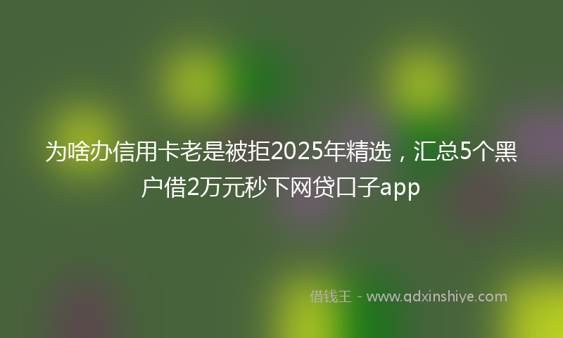 为啥办信用卡老是被拒2025年精选，汇总5个黑户借2万元秒下网贷口子app