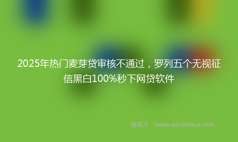 2025年热门麦芽贷审核不通过，罗列五个无视征信黑白100%秒下网贷软件