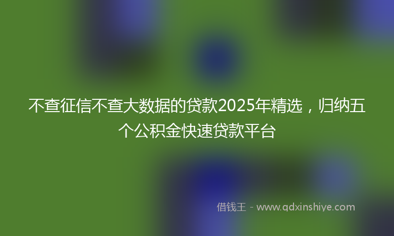 不查征信不查大数据的贷款2025年精选，归纳五个公积金快速贷款平台