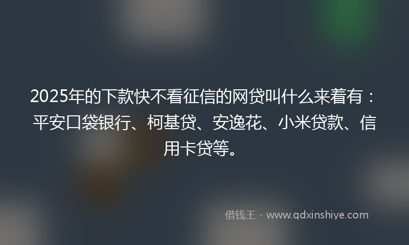 2025年的下款快不看征信的网贷叫什么来着有：平安口袋银行、柯基贷、安逸花、小米贷款、信用卡贷等。