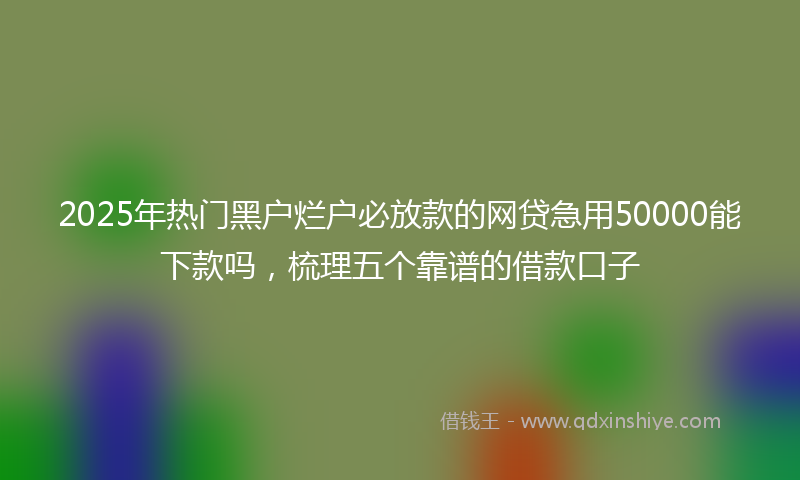 2025年热门黑户烂户必放款的网贷急用50000能下款吗，梳理五个靠谱的借款口子