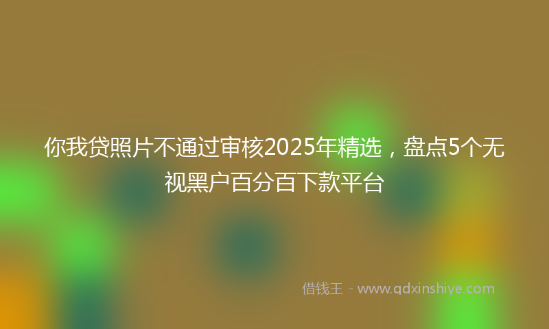 你我贷照片不通过审核2025年精选，盘点5个无视黑户百分百下款平台