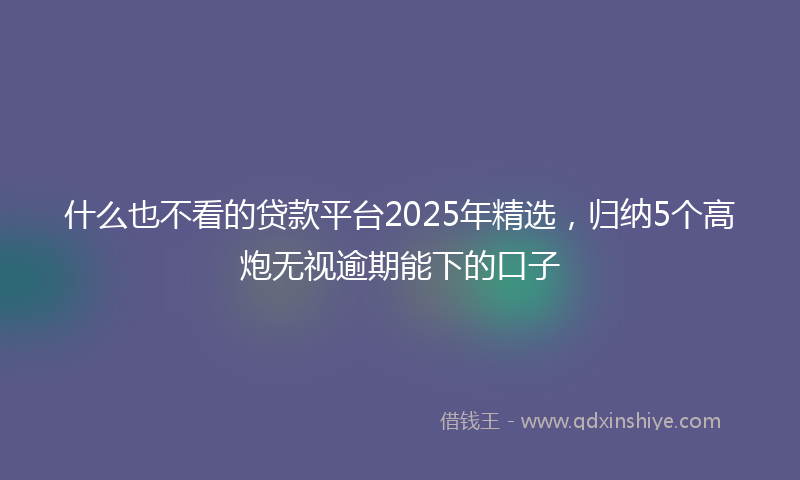 什么也不看的贷款平台2025年精选，归纳5个高炮无视逾期能下的口子