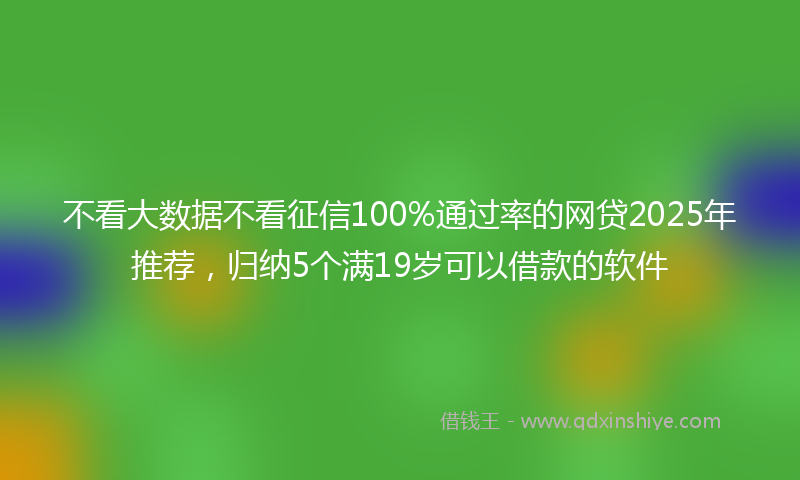 不看大数据不看征信100%通过率的网贷2025年推荐，归纳5个满19岁可以借款的软件