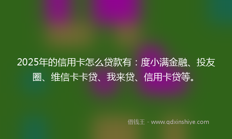 2025年的信用卡怎么贷款有：度小满金融、投友圈、维信卡卡贷、我来贷、信用卡贷等。