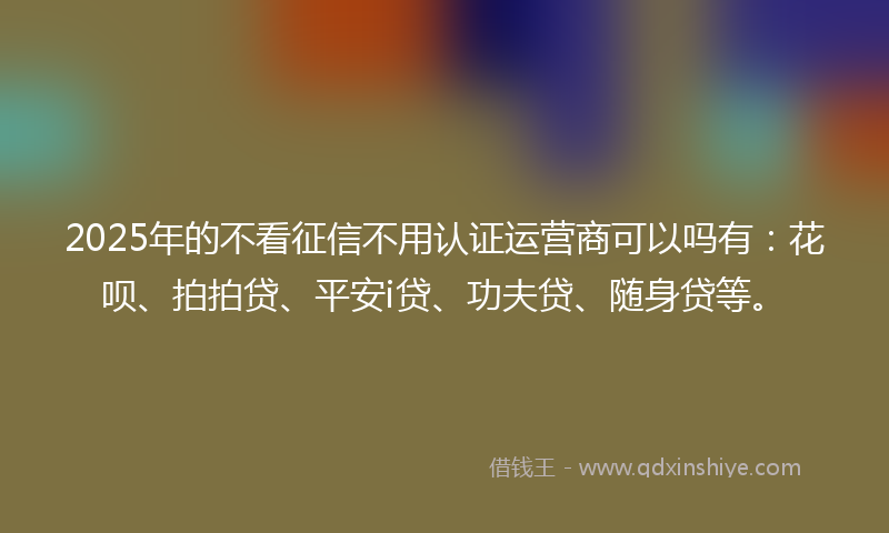 2025年的不看征信不用认证运营商可以吗有：花呗、拍拍贷、平安i贷、功夫贷、随身贷等。