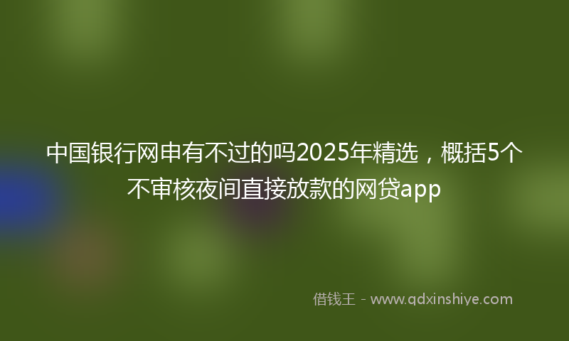 中国银行网申有不过的吗2025年精选，概括5个不审核夜间直接放款的网贷app