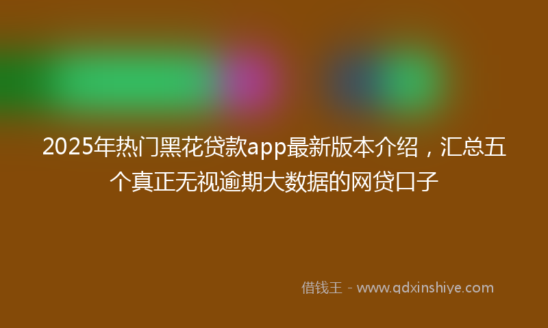 2025年热门黑花贷款app最新版本介绍，汇总五个真正无视逾期大数据的网贷口子