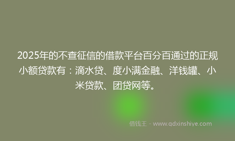 2025年的不查征信的借款平台百分百通过的正规小额贷款有：滴水贷、度小满金融、洋钱罐、小米贷款、团贷网等。