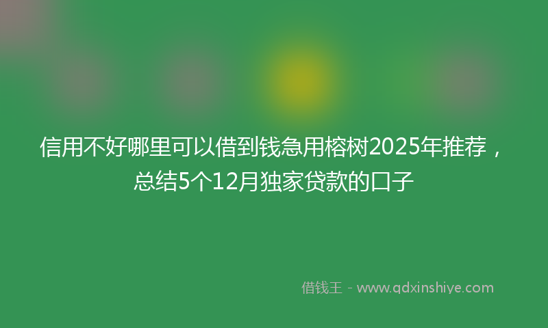 信用不好哪里可以借到钱急用榕树2025年推荐，总结5个12月独家贷款的口子
