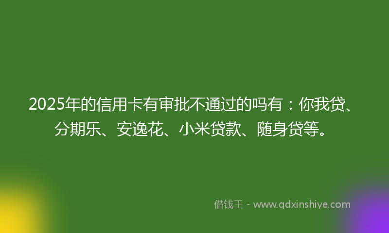 2025年的信用卡有审批不通过的吗有：你我贷、分期乐、安逸花、小米贷款、随身贷等。