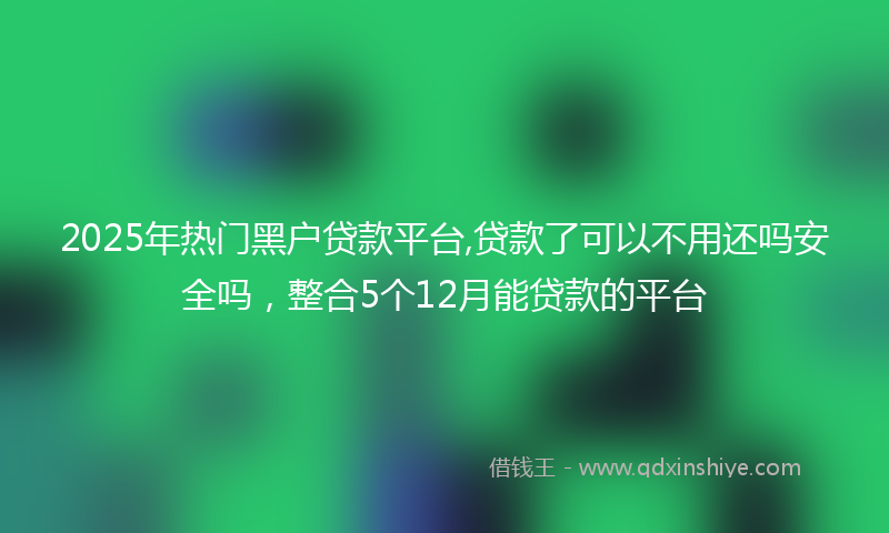 2025年热门黑户贷款平台,贷款了可以不用还吗安全吗，整合5个12月能贷款的平台