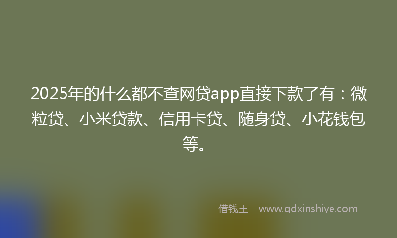 2025年的什么都不查网贷app直接下款了有：微粒贷、小米贷款、信用卡贷、随身贷、小花钱包等。