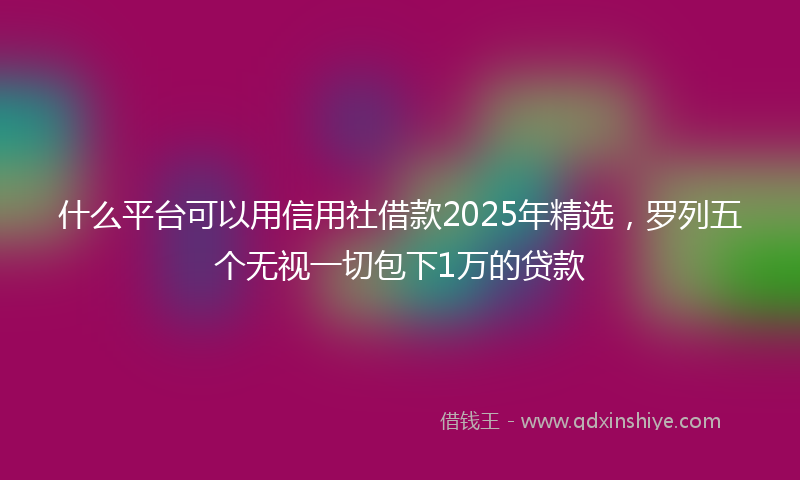 什么平台可以用信用社借款2025年精选，罗列五个无视一切包下1万的贷款