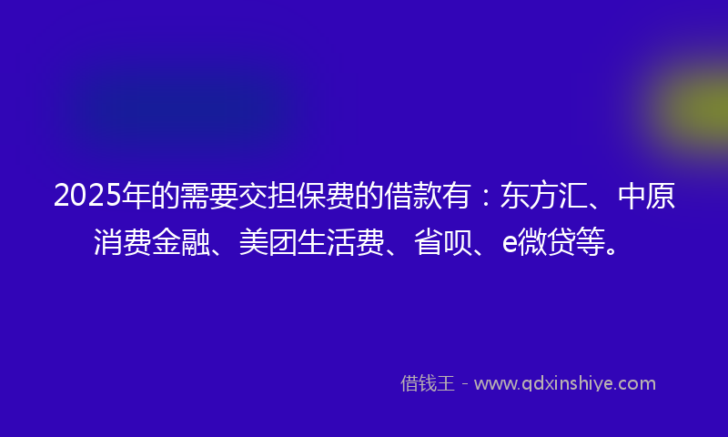 2025年的需要交担保费的借款有：东方汇、中原消费金融、美团生活费、省呗、e微贷等。