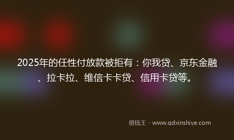2025年的任性付放款被拒有：你我贷、京东金融、拉卡拉、维信卡卡贷、信用卡贷等。