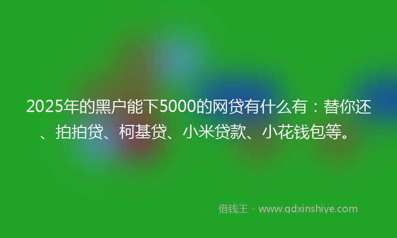 2025年的黑户能下5000的网贷有什么有：替你还、拍拍贷、柯基贷、小米贷款、小花钱包等。