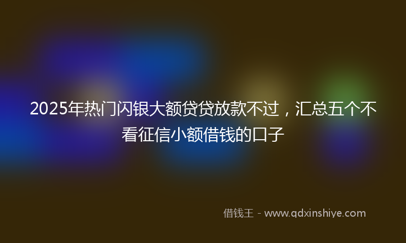 2025年热门闪银大额贷贷放款不过，汇总五个不看征信小额借钱的口子