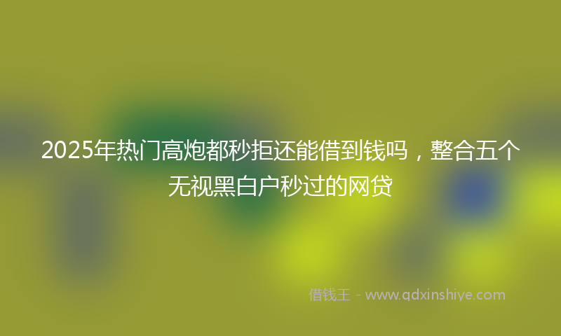 2025年热门高炮都秒拒还能借到钱吗，整合五个无视黑白户秒过的网贷