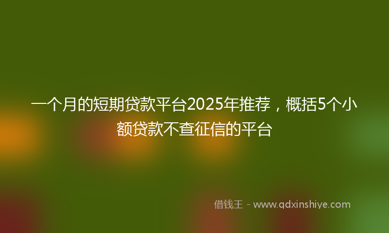 一个月的短期贷款平台2025年推荐，概括5个小额贷款不查征信的平台