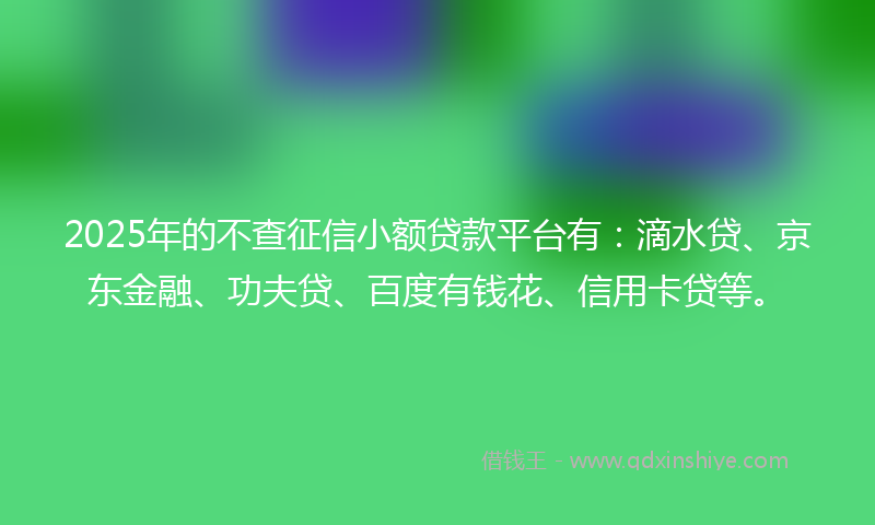 2025年的不查征信小额贷款平台有：滴水贷、京东金融、功夫贷、百度有钱花、信用卡贷等。