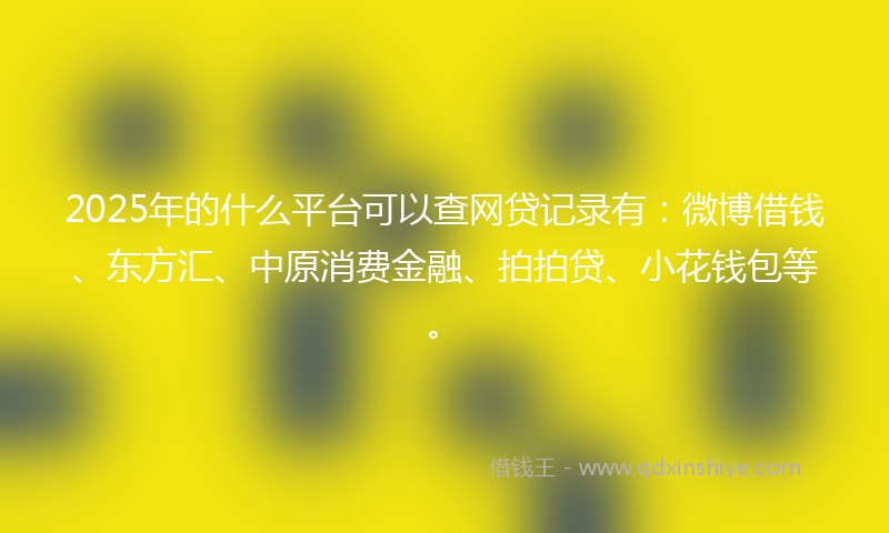2025年的什么平台可以查网贷记录有：微博借钱、东方汇、中原消费金融、拍拍贷、小花钱包等。