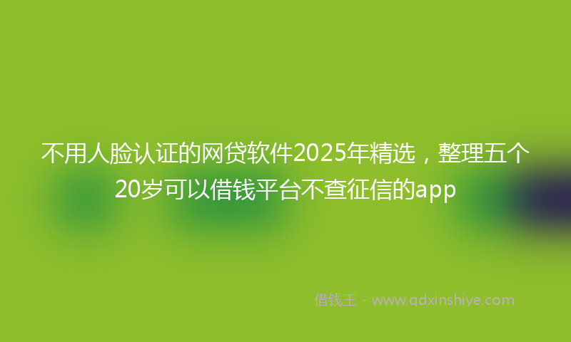 不用人脸认证的网贷软件2025年精选，整理五个20岁可以借钱平台不查征信的app