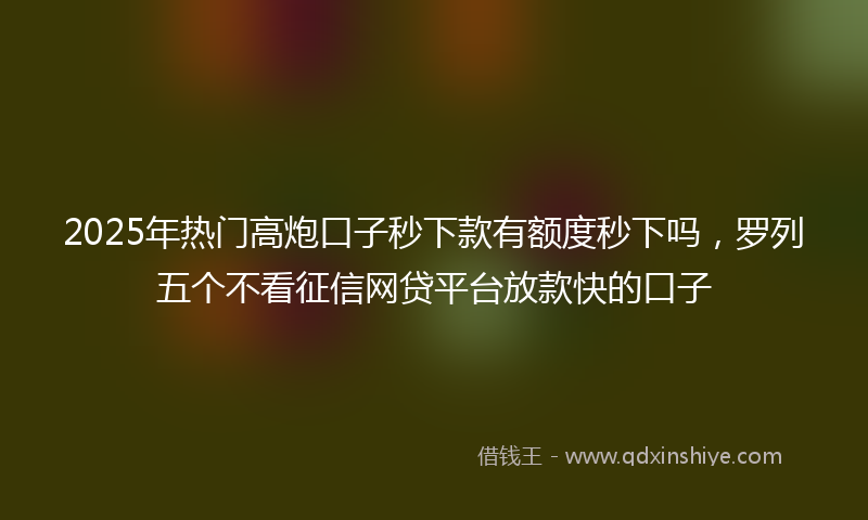 2025年热门高炮口子秒下款有额度秒下吗，罗列五个不看征信网贷平台放款快的口子