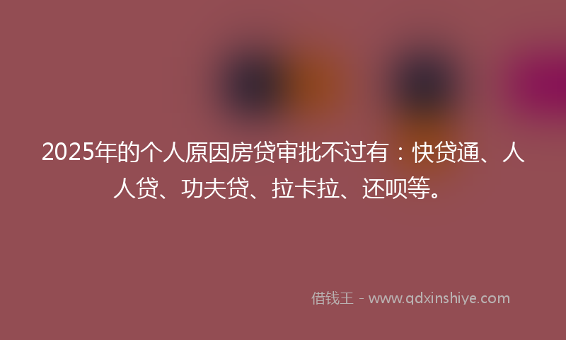 2025年的个人原因房贷审批不过有：快贷通、人人贷、功夫贷、拉卡拉、还呗等。