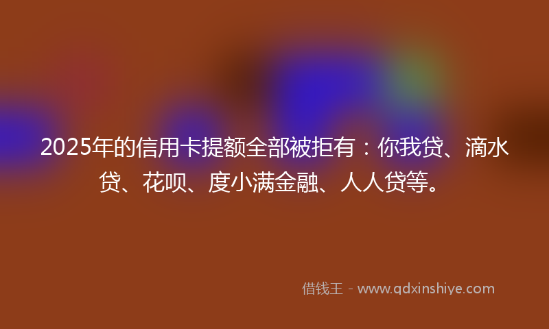 2025年的信用卡提额全部被拒有：你我贷、滴水贷、花呗、度小满金融、人人贷等。