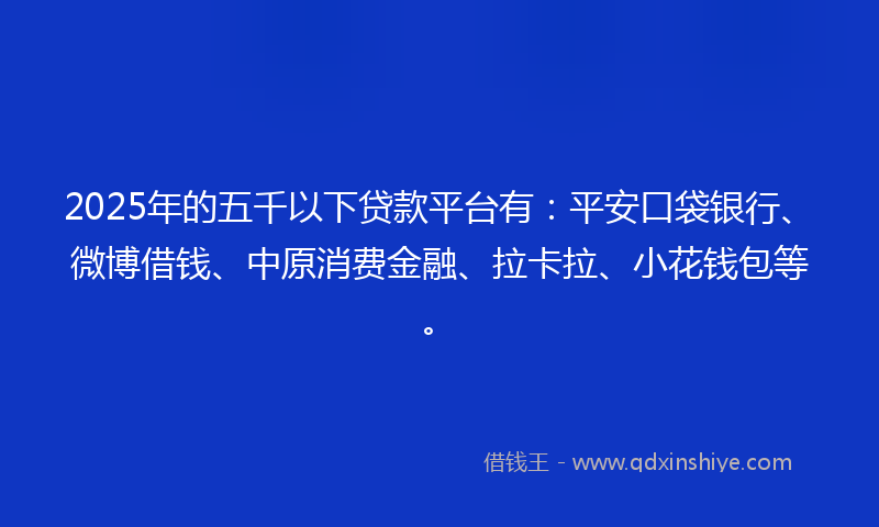 2025年的五千以下贷款平台有：平安口袋银行、微博借钱、中原消费金融、拉卡拉、小花钱包等。
