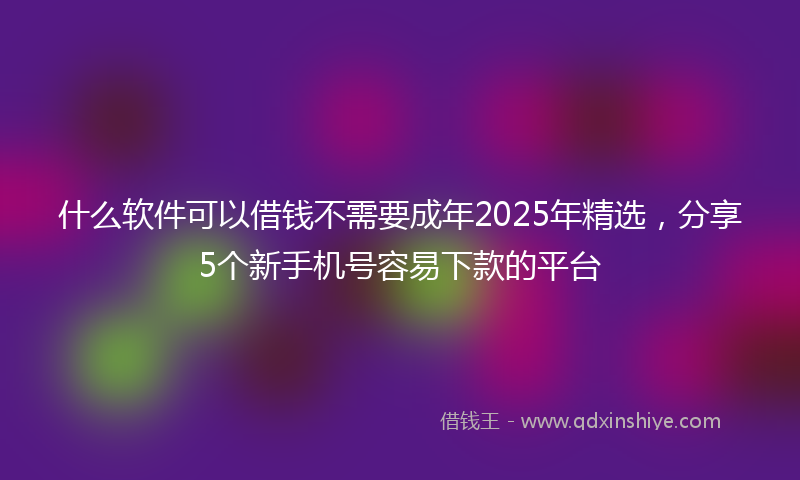 什么软件可以借钱不需要成年2025年精选，分享5个新手机号容易下款的平台