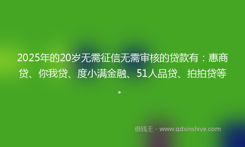 2025年的20岁无需征信无需审核的贷款有：惠商贷、你我贷、度小满金融、51人品贷、拍拍贷等。
