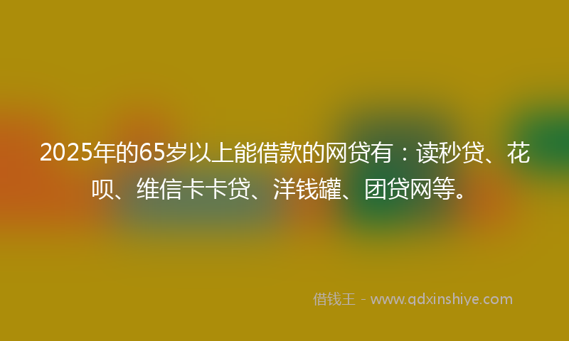 2025年的65岁以上能借款的网贷有：读秒贷、花呗、维信卡卡贷、洋钱罐、团贷网等。