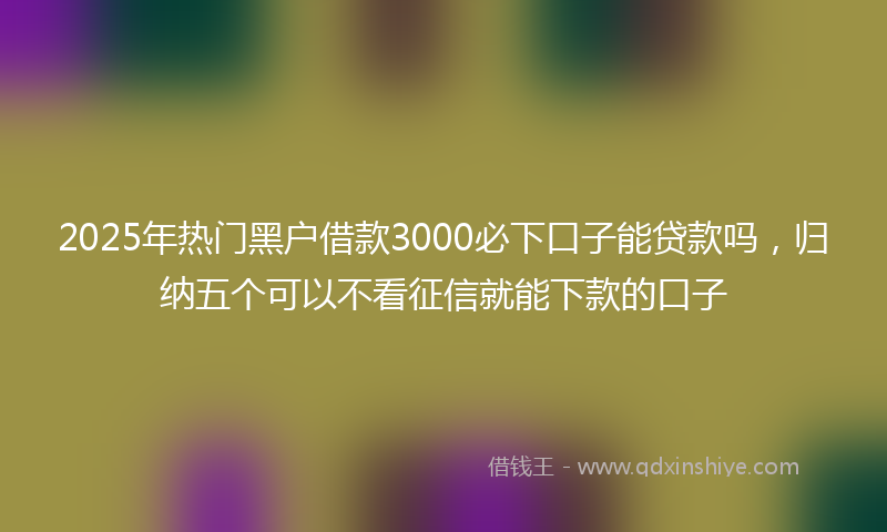 2025年热门黑户借款3000必下口子能贷款吗，归纳五个可以不看征信就能下款的口子