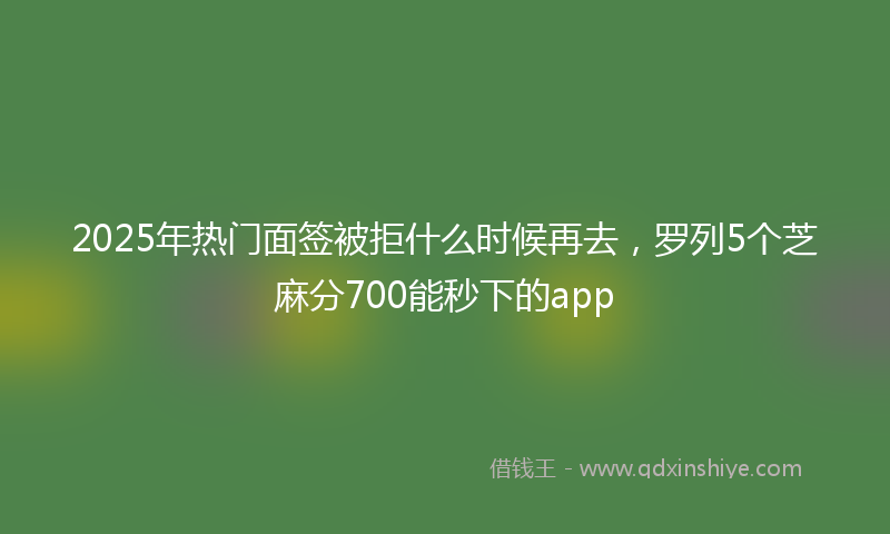 2025年热门面签被拒什么时候再去，罗列5个芝麻分700能秒下的app