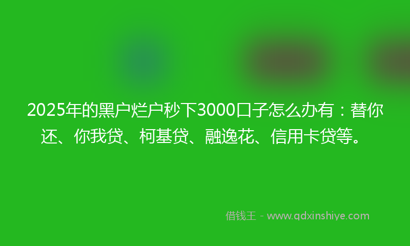 2025年的黑户烂户秒下3000口子怎么办有：替你还、你我贷、柯基贷、融逸花、信用卡贷等。