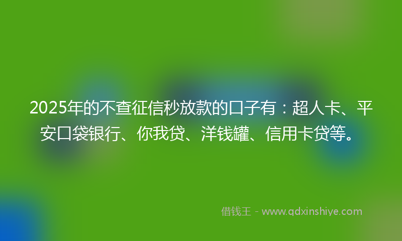 2025年的不查征信秒放款的口子有：超人卡、平安口袋银行、你我贷、洋钱罐、信用卡贷等。
