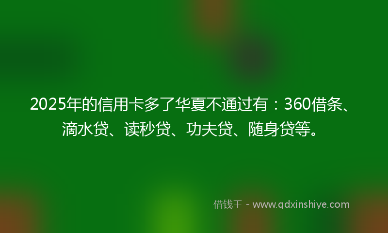 2025年的信用卡多了华夏不通过有：360借条、滴水贷、读秒贷、功夫贷、随身贷等。