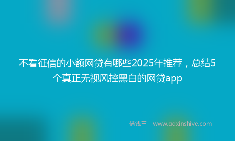 不看征信的小额网贷有哪些2025年推荐，总结5个真正无视风控黑白的网贷app