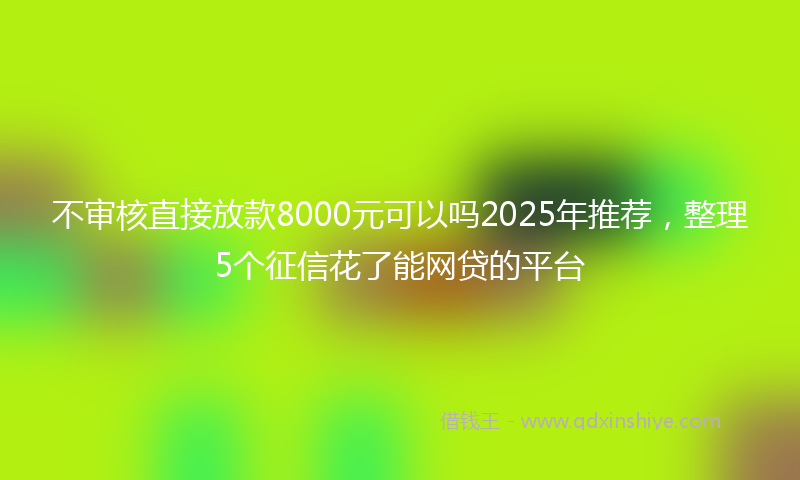 不审核直接放款8000元可以吗2025年推荐，整理5个征信花了能网贷的平台