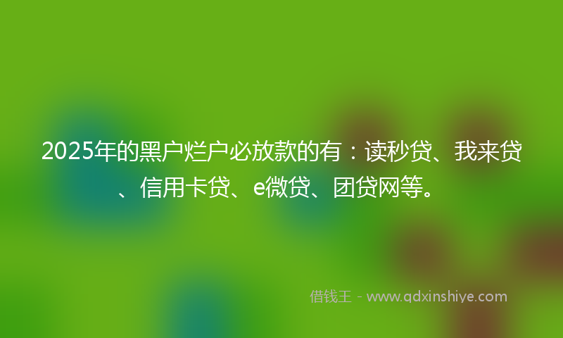 2025年的黑户烂户必放款的有：读秒贷、我来贷、信用卡贷、e微贷、团贷网等。