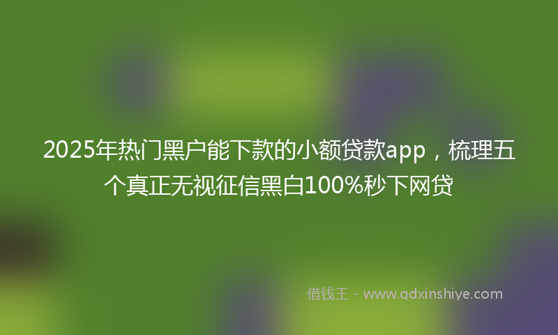 2025年热门黑户能下款的小额贷款app，梳理五个真正无视征信黑白100%秒下网贷